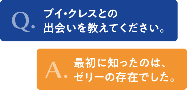 タイトル　ブイクレスとの出会い